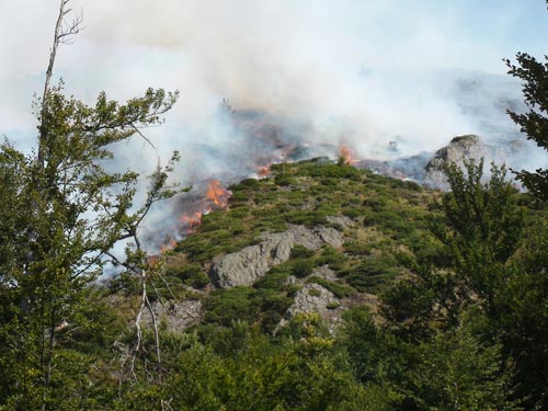 Foto Incendiu in varful Gutai (c) eMM.ro